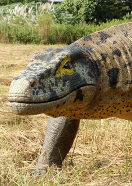 Megalania