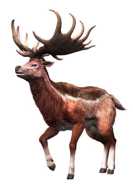 Megaloceros