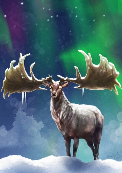 Megaloceros photo