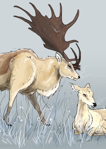 Megaloceros