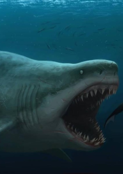 Megalodon photo