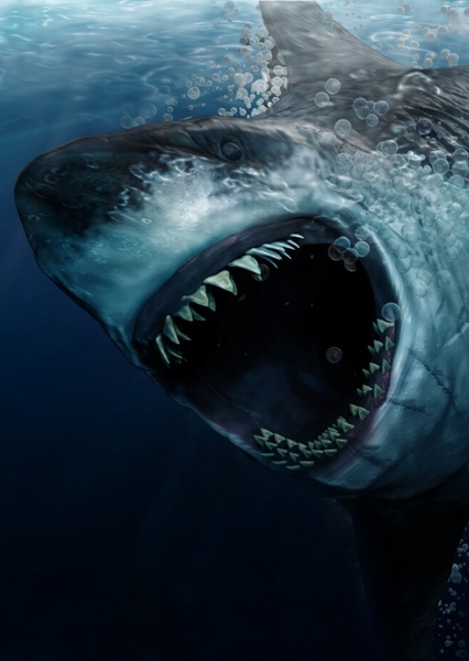 Megalodon photo