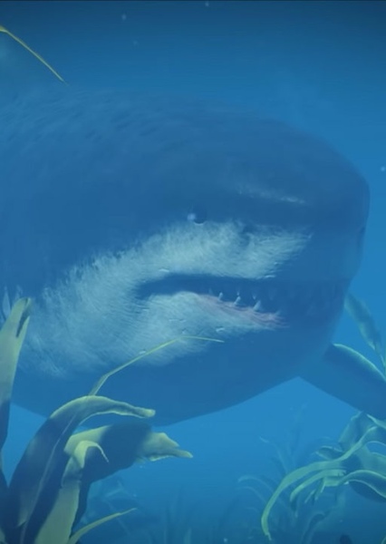 Megalodon photo