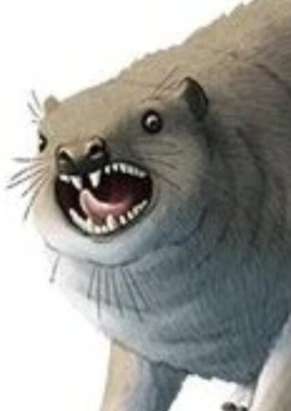 Megalohyrax