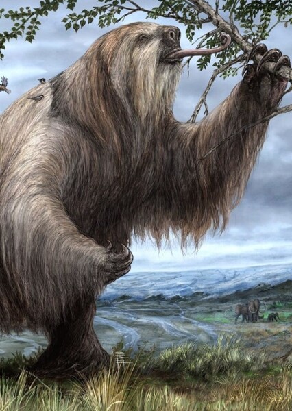 Megalonyx