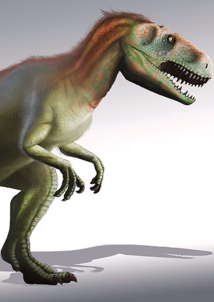 Megalosaurus photo