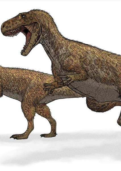 Megalosaurus photo