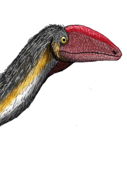 Megapnosaurus