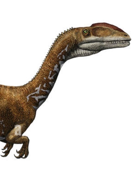 Megapnosaurus photo