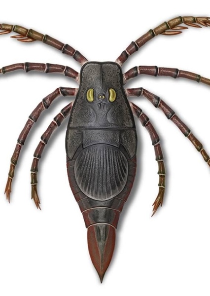 Megarachne