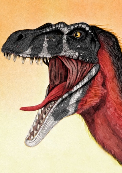 Megaraptor photo