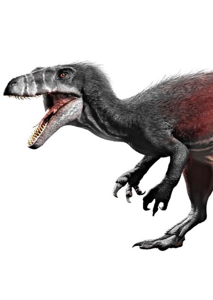 Megaraptor photo