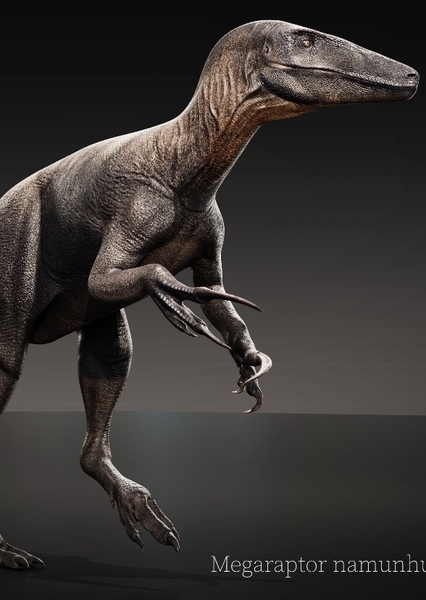 Megaraptor photo
