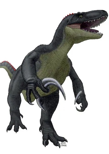 Megaraptor photo