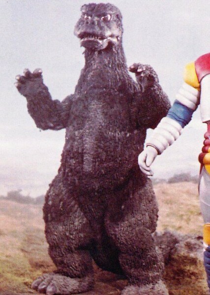 MegaroGoji photo