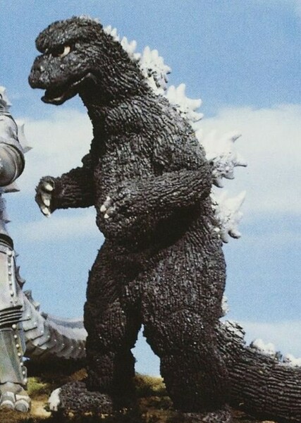 MegaroGoji photo
