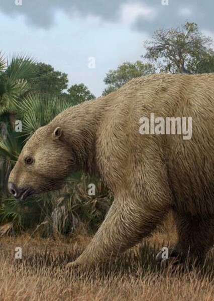 Megatherium photo