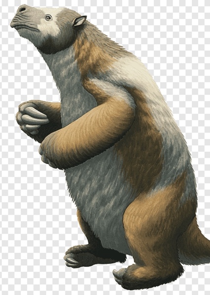 Megatherium photo