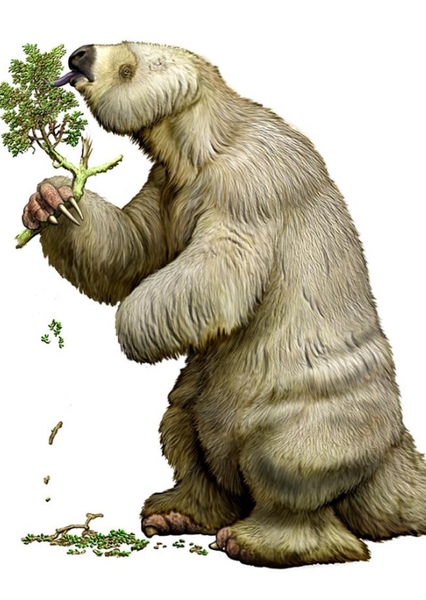 Megatherium photo