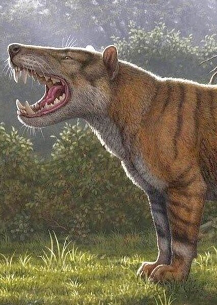 Megistotherium photo