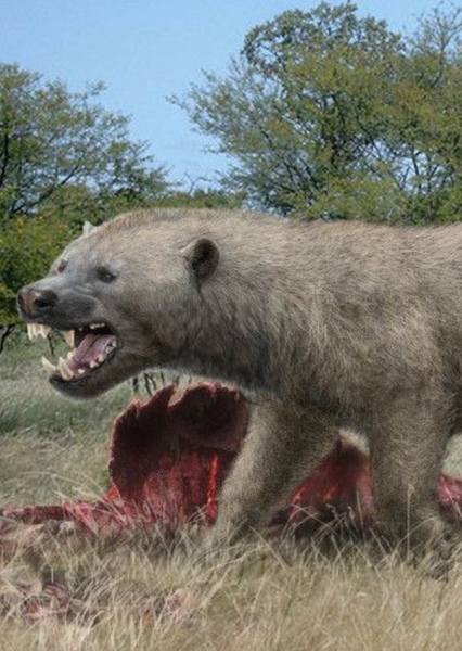 Megistotherium