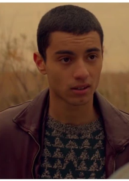 Mehdi Meskar photo