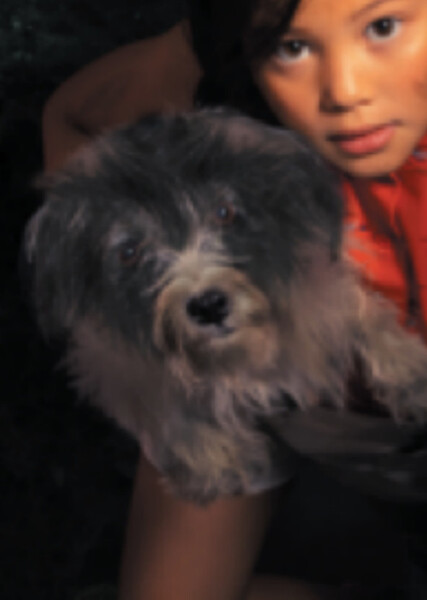Mele (American Girl) photo