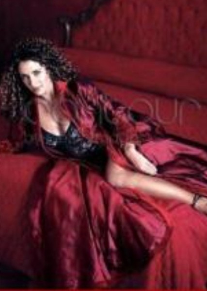 Melina Kanakaredes photo