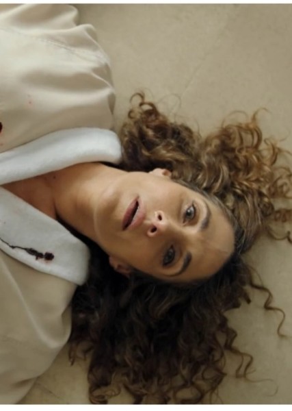 Melina Kanakaredes photo
