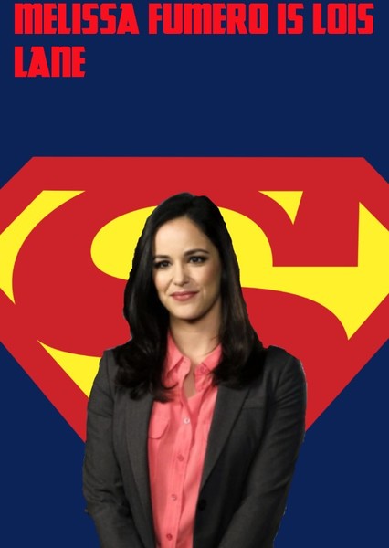 Melissa Fumero photo