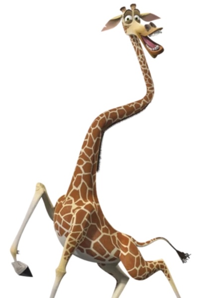 Melman the Giraffe photo
