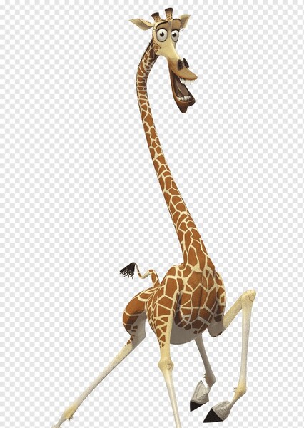 Melman the Giraffes photo