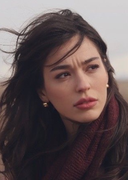 Meltem Akçöl