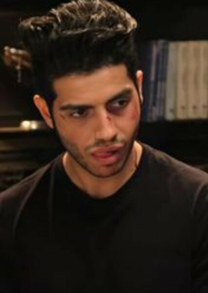 Mena Massoud photo