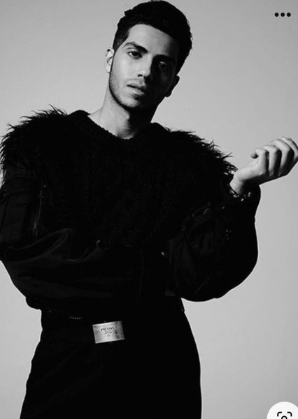 Mena Massoud photo