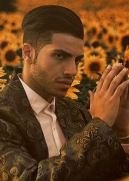 Mena Massoud photo