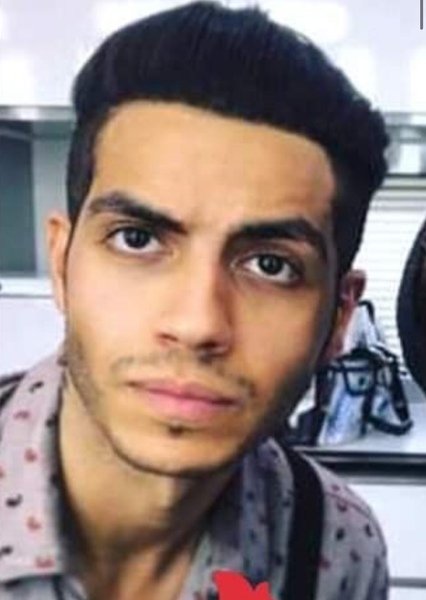 Mena Massoud photo