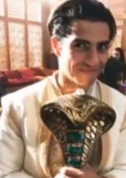 Mena Massoud photo