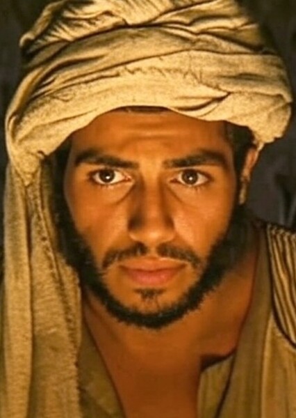 Mena Massoud photo