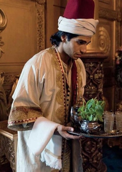 Mena Massoud photo