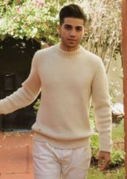 Mena Massoud photo