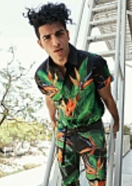 Mena Massoud photo
