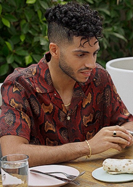 Mena Massoud photo