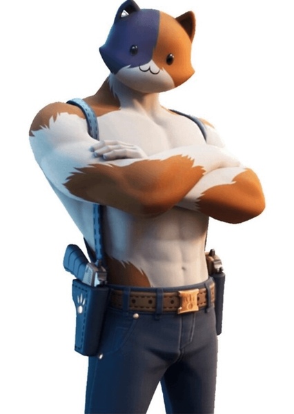 Meowscles