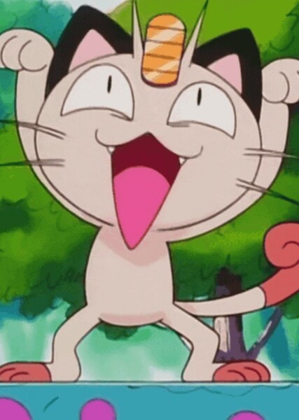 Meowth photo