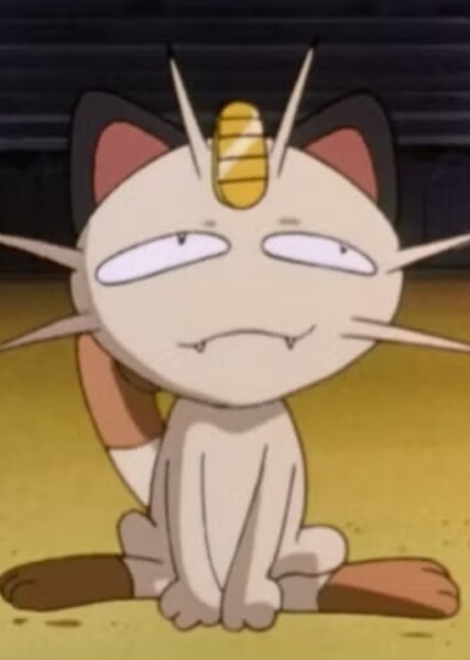 Meowth photo