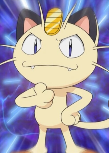 Meowth photo