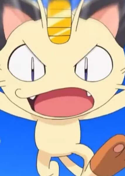 Meowth photo