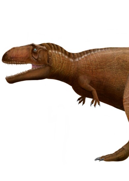 Meraxes