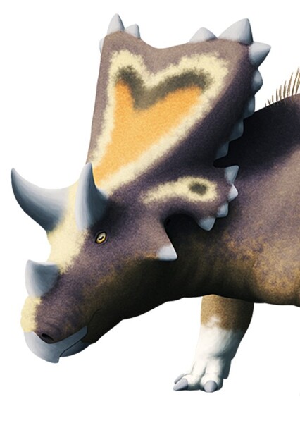 Mercuriceratops